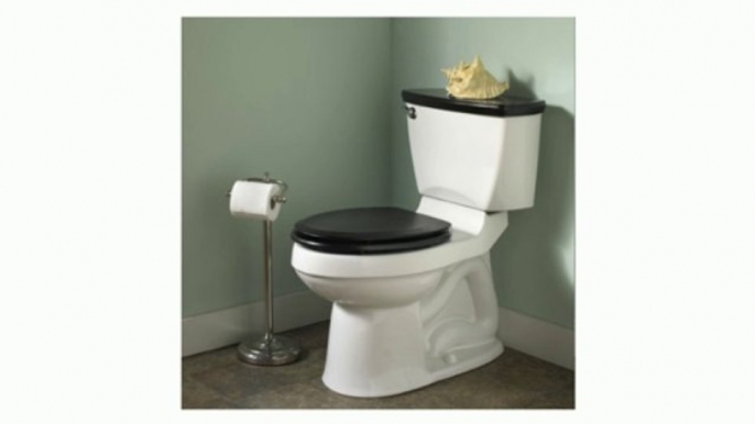 American Standard 2002.014.222 Champion-4 Right Height Elongated Two-Piece Toilet, Linen Review