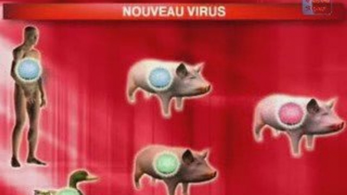 MedeSpaceTV - Virus A Porcine (H1N1)