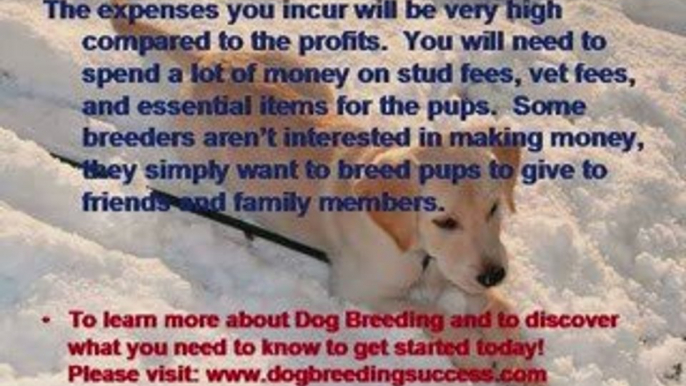 Dog Breeding - Encountering Problems