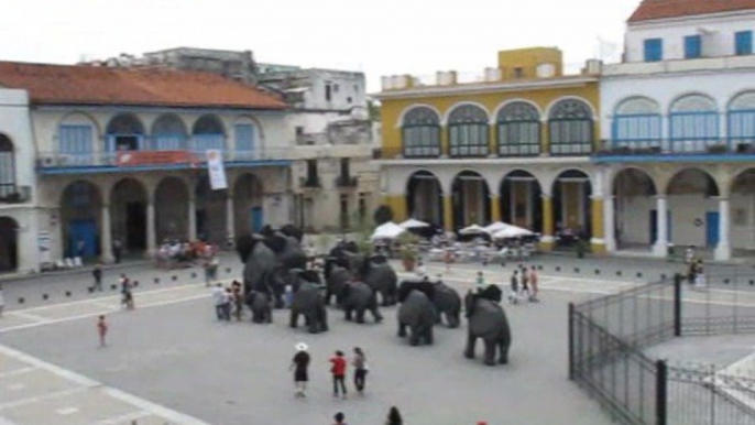 46 Cuba La Havane Plaza Vieja