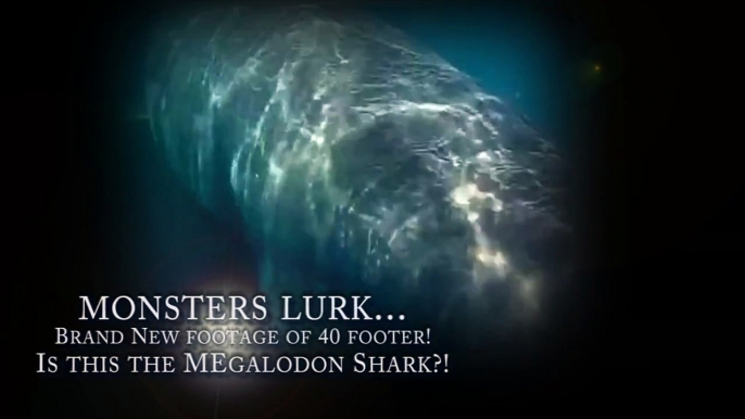 Megalodon Shark Caught on Tape 2015 - Brand New Footage of the Submarine Sized Shark