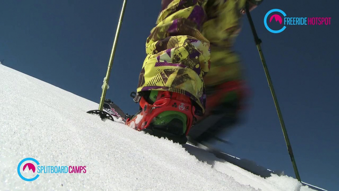 Freeride Camp, Splittboard Camp, Heli Skiing | FREERIDE HOTSPOT |