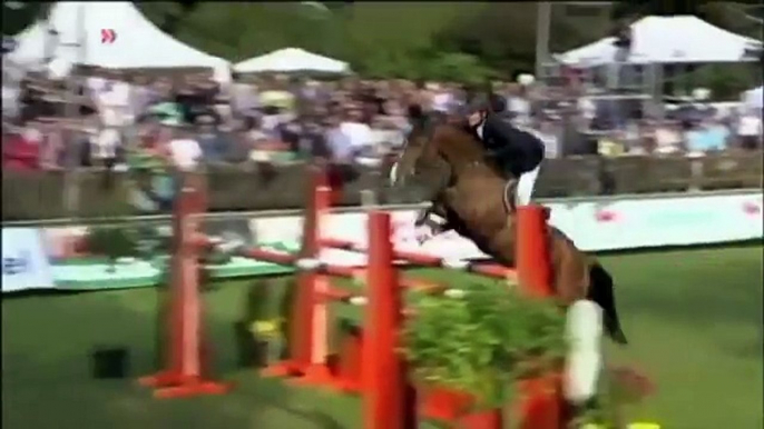 Equitation Concours Saut d'Obstacles