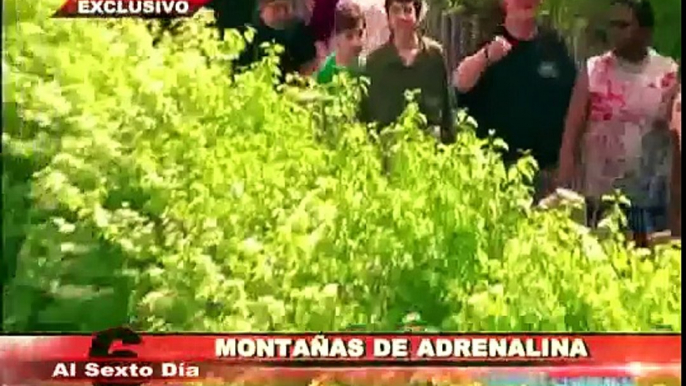 Montañas de adrenalina: las montañas rusas más extremas del planeta