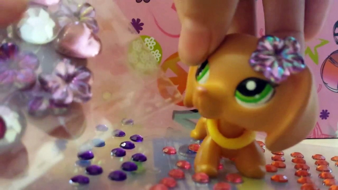 LPS What I Use As LPS Accesories!!!