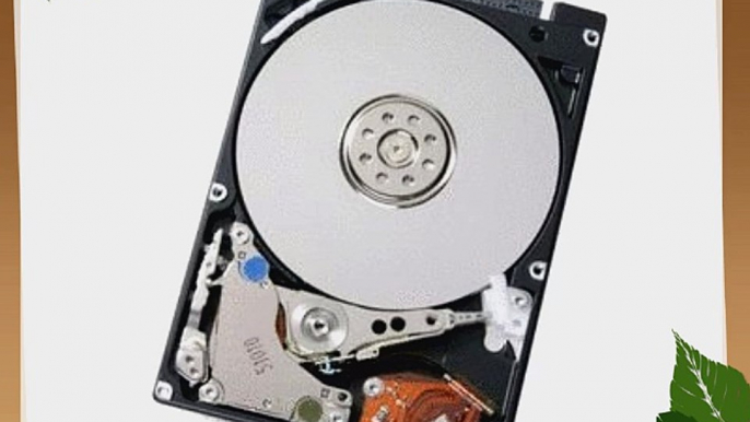 Hitachi 0A28415 40GB Hard Drive