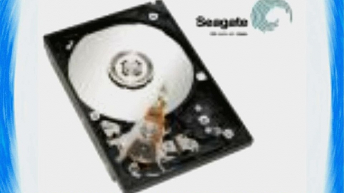 SEAGATE ST9600205SS Savvio 600GB 10000 RPM SAS 6.0Gb/s 64MB cache 2.5 internal hard drive (Bare