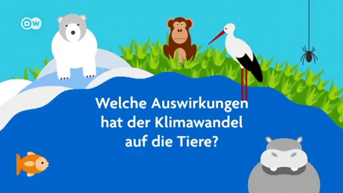 Wie wirkt sich der Klimawandel auf Tiere aus? | Global Ideas