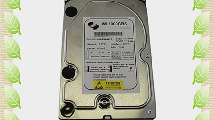 White Label 1TB 64MB Cache 7200RPM SATA2 (3.0Gb/s) 3.5 Desktop Hard Drive (For PCMacCCTV DVRServerNAS)-