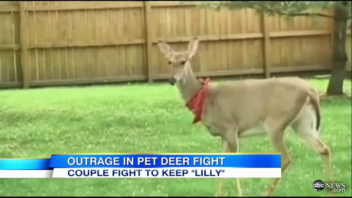 Family Fights to Keep Pet Deer: Michigan Law Prohibits Wild Animals in Homes