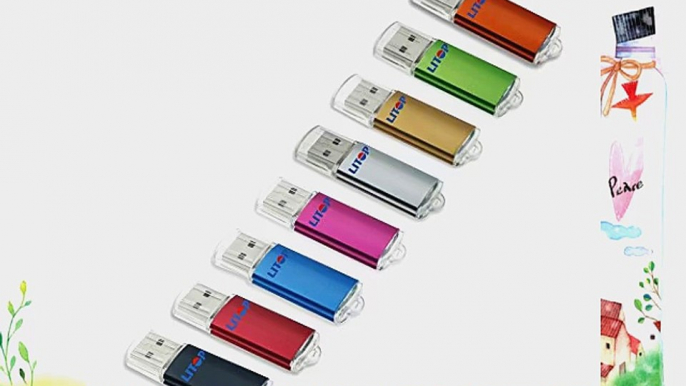 Litop Pack of 8 Black Silver Color Gold Color Orange Green Red Blue Hot Pink 4GB Metal Body