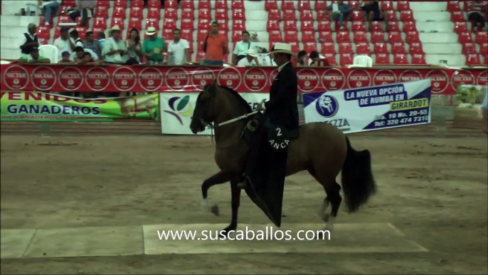 Gran Campeonato Caballos Trote y Galope Criollo Colombiano Girardot 2013