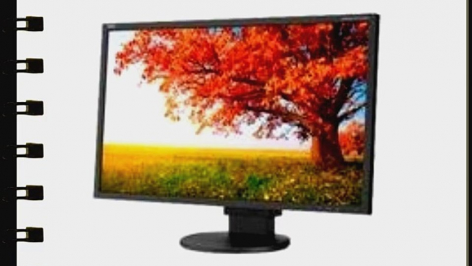 NEC EA224WMI-BK 21.5-Inch Screen LED-Lit Monitor