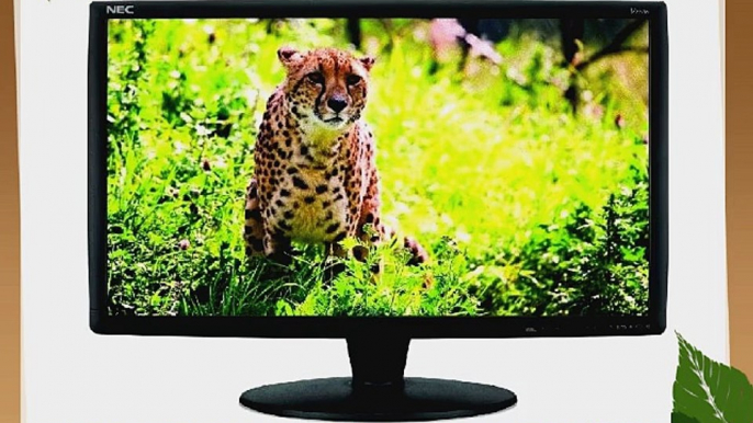 NEC V221W-BK 21.6 inch Wide Screen 16:9 800:1 LCD Monitor (Black)