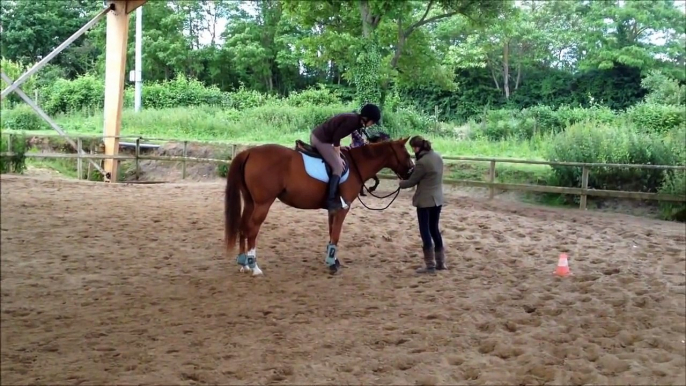 Equitation - Cours de Saut d'Obstacle - Rodéo et chute