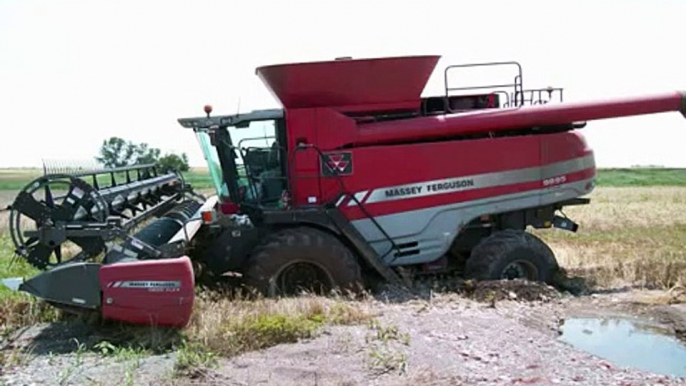 Slominski Wheat Harvest- Massey Ferguson