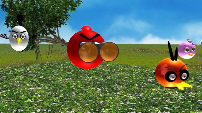 [Angry Birds Tv] ROBOCOP 2014 ANGRY BIRDS ROBOBIRD ! ♫ 3D animated Angry Birds mashup ☺