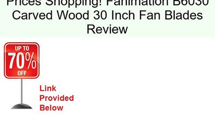 Fanimation B6030 Carved Wood 30 Inch Fan Blades Review