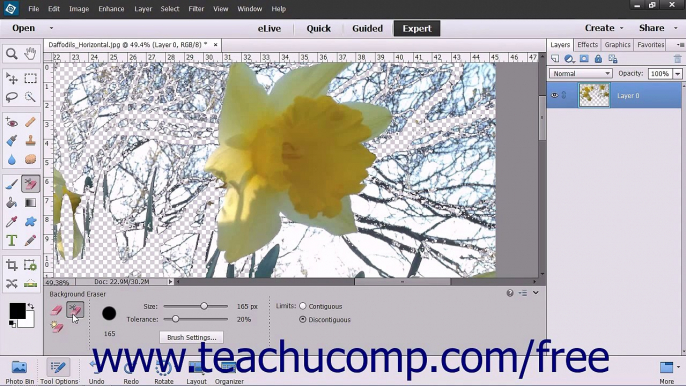 Photoshop Elements 13 Tutorial The Background Eraser Tool Adobe Training