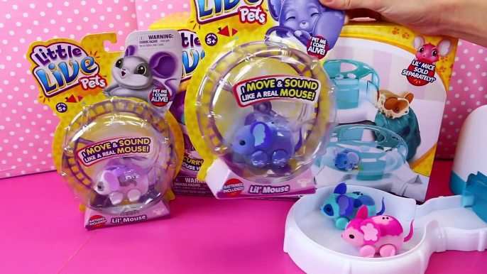 Little Live Pets Lil' Mouse House Trail Track Set Tubes ❤ Baby Mice Moose Toys Review DisneyCarToys