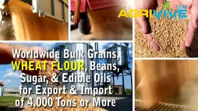 Bulk Wheat Flour Distribution, Wheat Flour Distribution, Wheat Flour Distribution, Wheat Flour Distribution, Wheat Flour