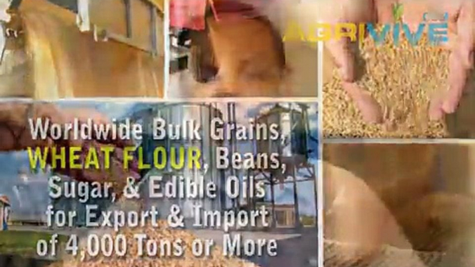 Bulk Wheat Flour Manufacturing, Wheat Flour Manufacturing, Wheat Flour Manufacturing, Wheat Flour Manufacturing, Wheat F