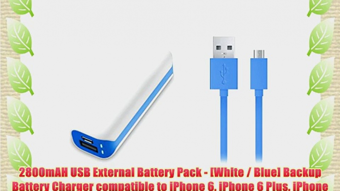 2800mAH USB External Battery Pack - [White / Blue] Backup Battery Charger compatible to iPhone