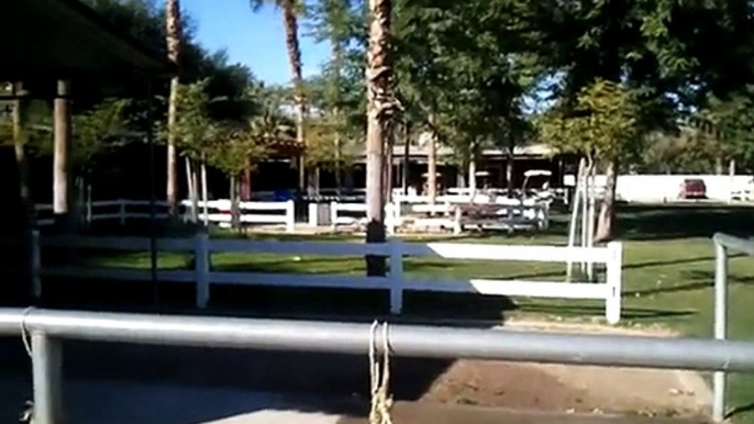 Polo ponies at the stables of the Empire Polo Club, Indio, California