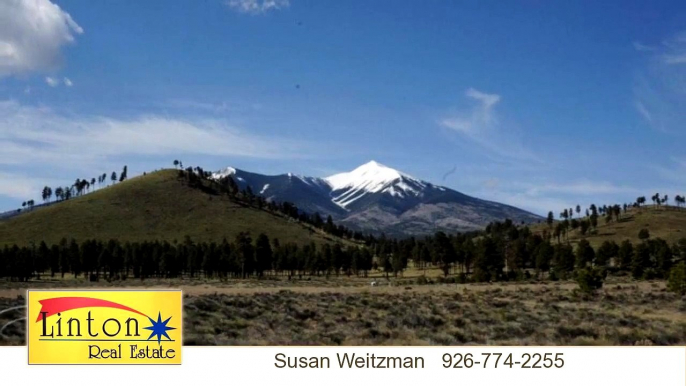 Lots And Land for sale - 19 Fun Valley Road, Flagstaff, AZ 86001