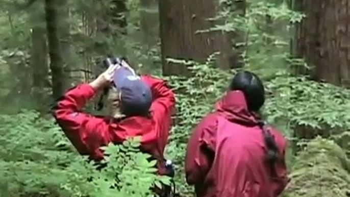 Fledgling owls learn to fly