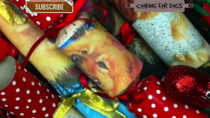 SANTA PAWS DOGS - CUTE PUPPIES -  DIY Dog costumes by Cooking For Dogs