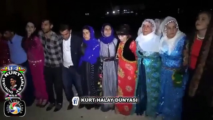 cizre düğünleri KOMA HECO FOTOGİZEM CİDD Û DELİLO