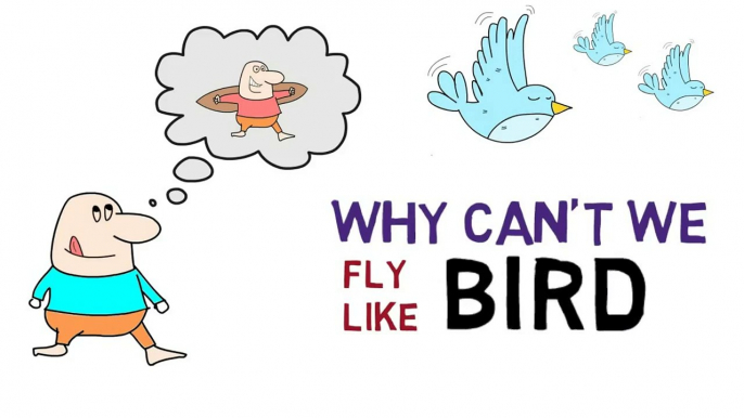 Why can't we fly like birds