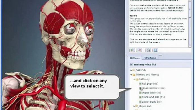 3D Interactive Functional Human Anatomy - NEW 2009!