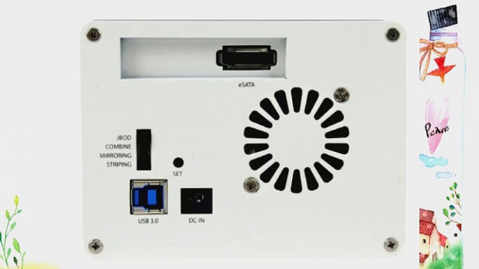 StarTech.com USB 3.0 eSATA Dual 3.5 SATA III Hard Drive RAID Enclosure with UASP and Fan (S3520WU33ER)