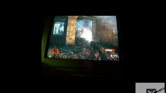 Nazi Zombies Wave 66