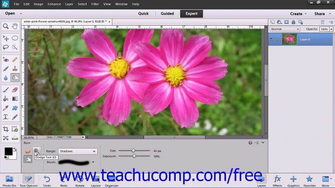 Photoshop Elements 12 Tutorial Using the Dodge Tool & the Brim Tool Adobe Training Lesson 13.7