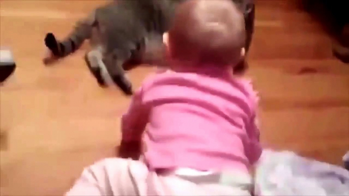 Vidéos Droles De Bébés   Funniest vidéo 2015,Vidéos Droles