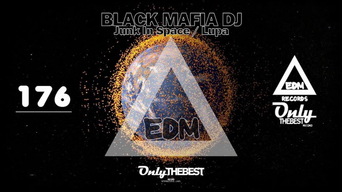 BLACK MAFIA DJ - JUNK IN SPACE / LUPA #176 EDM electronic dance music records 2015