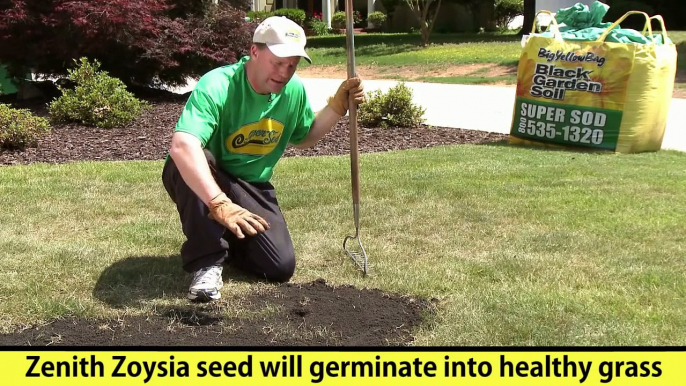 How-to Fix Bare Patches in a Lawn with Grass Seed