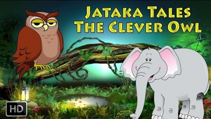 Jataka Tales - The Clever Owl - Short Stories for Children - Animated Cartoon Stories for Children