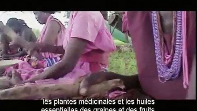 Global Value Chain: Phytotrade - (sous-titres français)   Phytotrade Africa, South Africa