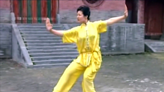 Wushu Chu Ji Chang Quan   初级长拳