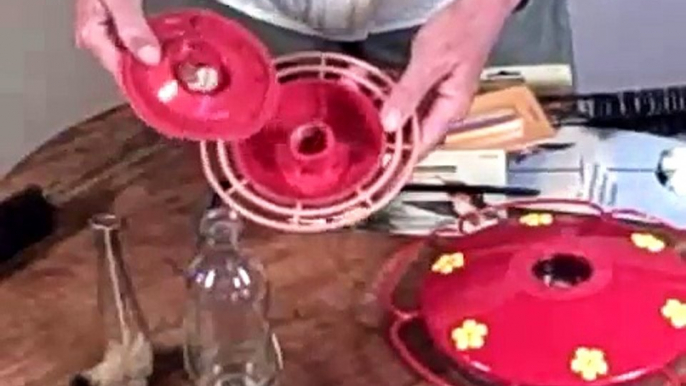 Cleaning Hummingbird Feeders