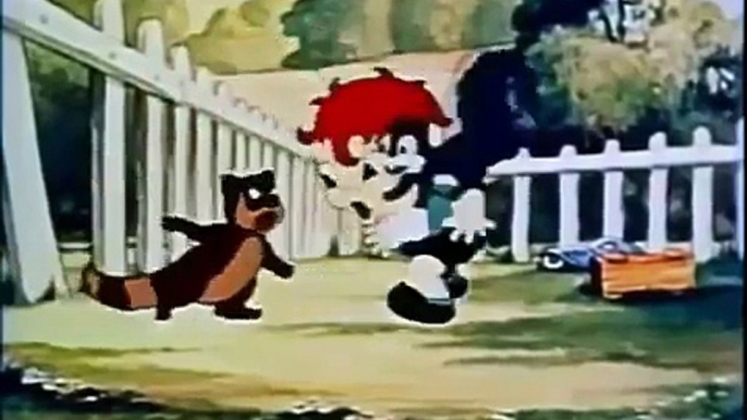 Classic Cartoon Classic Max Fleischer Cartoons Little Lamkins