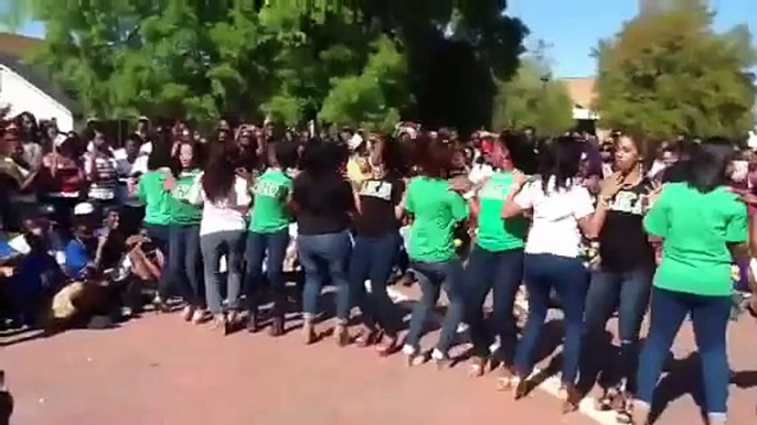 SCSU Stroll Off 2012 Alpha Kappa Alpha