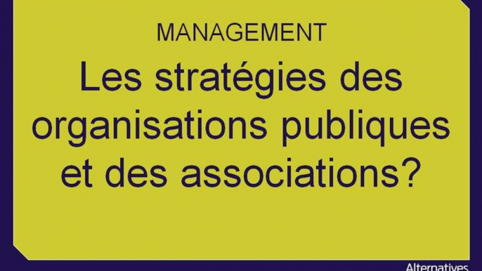 Term Mana chap 7 les stratégies des organisations publiques et des associations -extrait