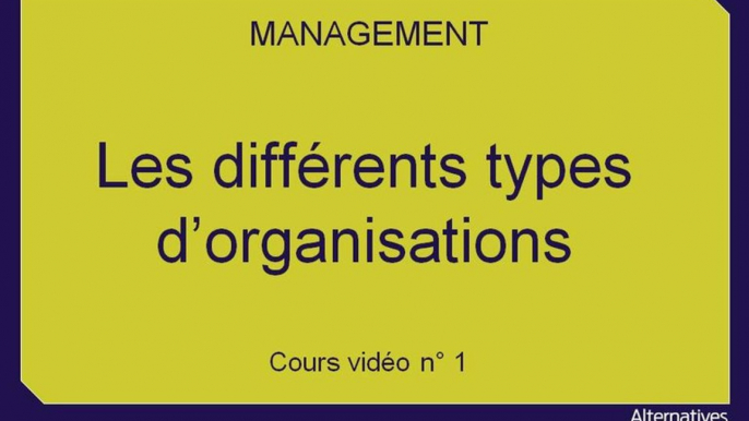 Term STMG Mana Les différents types d'organisations