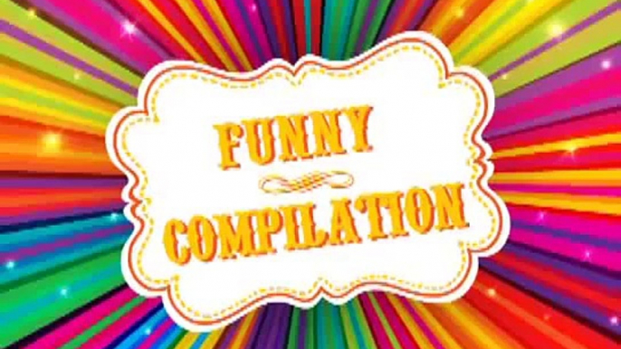 Funny Videos Funny Cats Funny Pranks Funny Animals Videos Videos Engraçados 2015