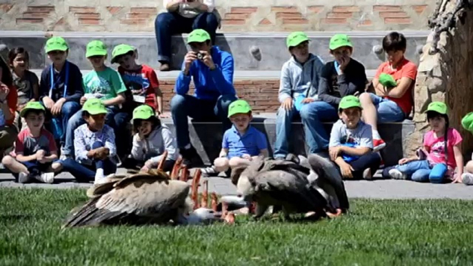 "Expertos en animales" en Expedición África, la escuela de vacaciones de Bioparc